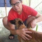 Jim Yeh volunteering at Kechara Forest Retreat, giving the dogs a good bath.