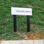 Healing Drive - the road to Medicine Buddha Hill
